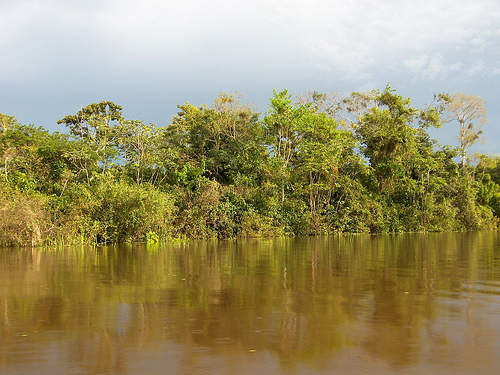 Amacayacu National Park